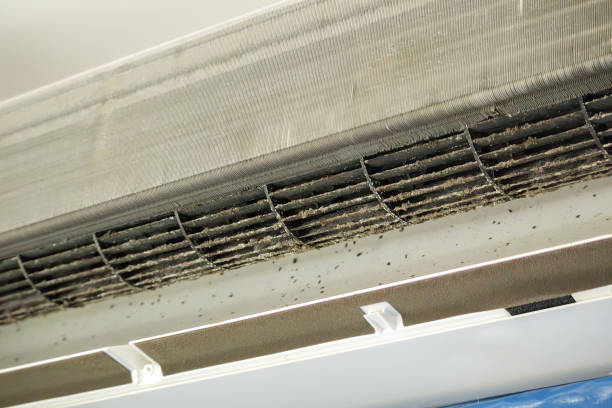 Best Home Air Vent Cleaning  in Seminole, TX